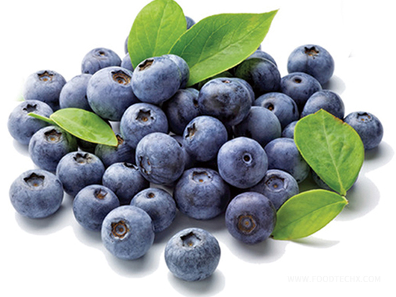 Blueberry Juice Concentrate