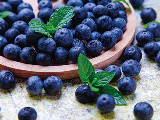 Blueberry Juice Concentrate