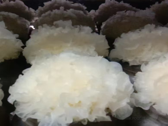 Tremella extract