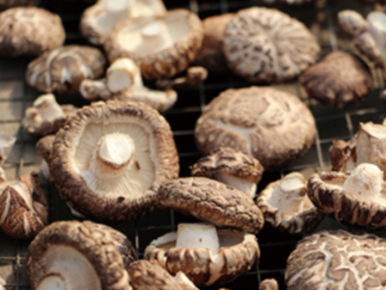 Mushroom concentrated juice