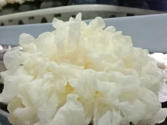 Tremella extract