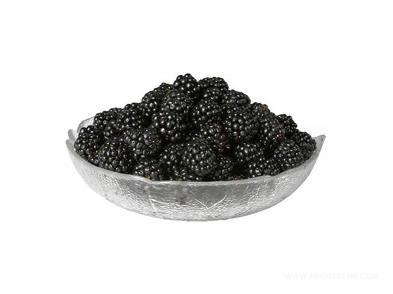 Mulberry puree