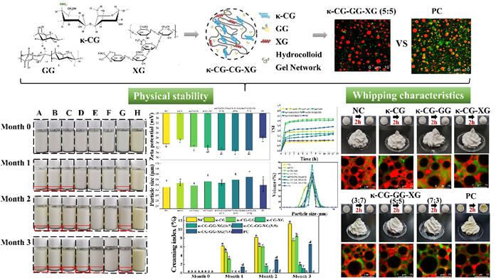 Synergist &kappa;-Carrageenan Polysaccharide Blends: Enhancement of Rheology, Stability, and Microstructure in Whipped Cream - 2026 Food Hydrocolloids Study