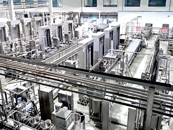 Old tofu automatic production line equipment