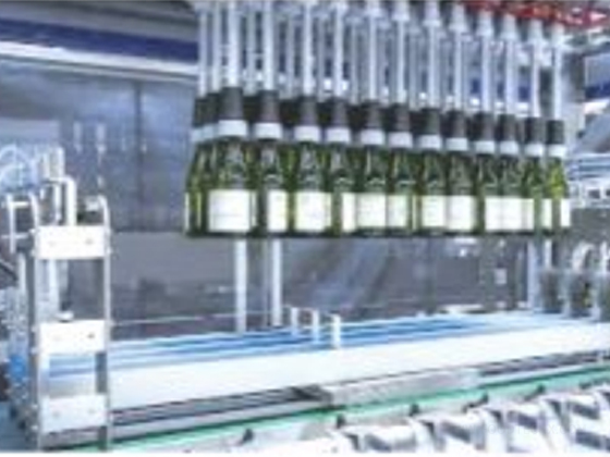 Fully Automatic Servo Driven Case Packers
