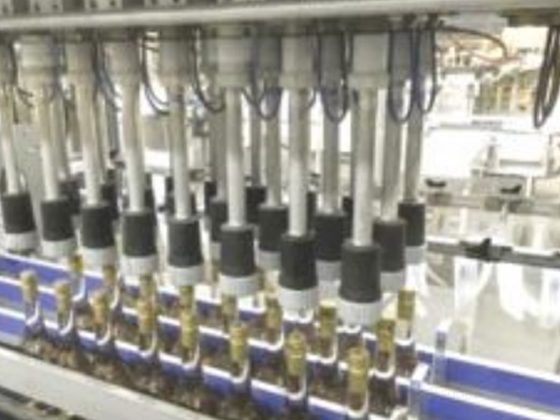 Fully Automatic Servo Driven Case Packers