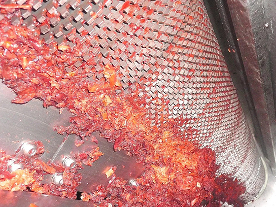 Fruit Stone washer---XHJ-2