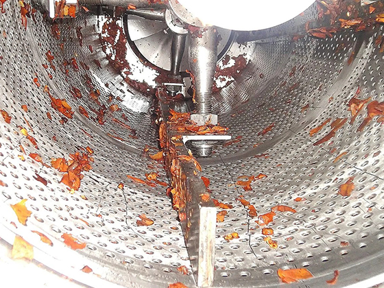 Fruit Stone washer---XHJ-2