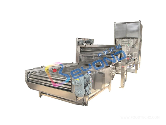 Brush washing machine---GMQXJ-2