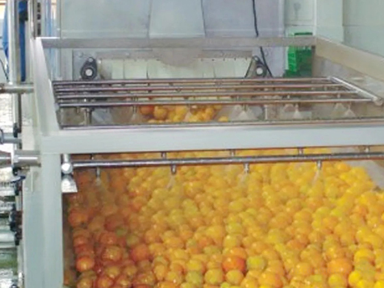Brush washing machine---GMQXJ-2