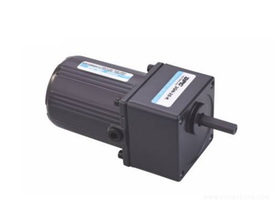 Induction motor---6W
