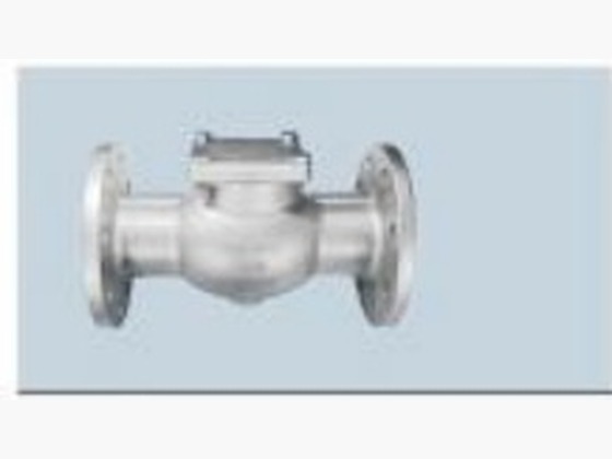 Flange Check Valve (Swing Disc)