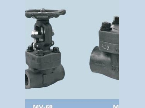 Forged Globe Valve