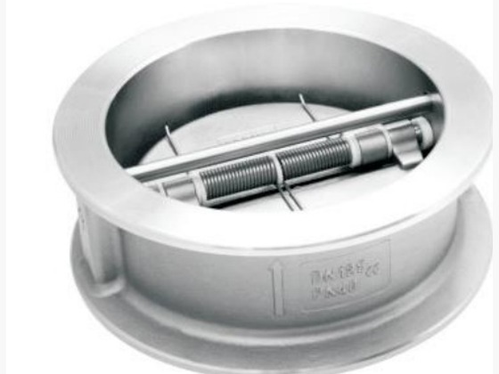 Dual Plate Wafer Check Valve