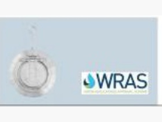 Single Disc Wafer Check Valve (Swing, Spring)