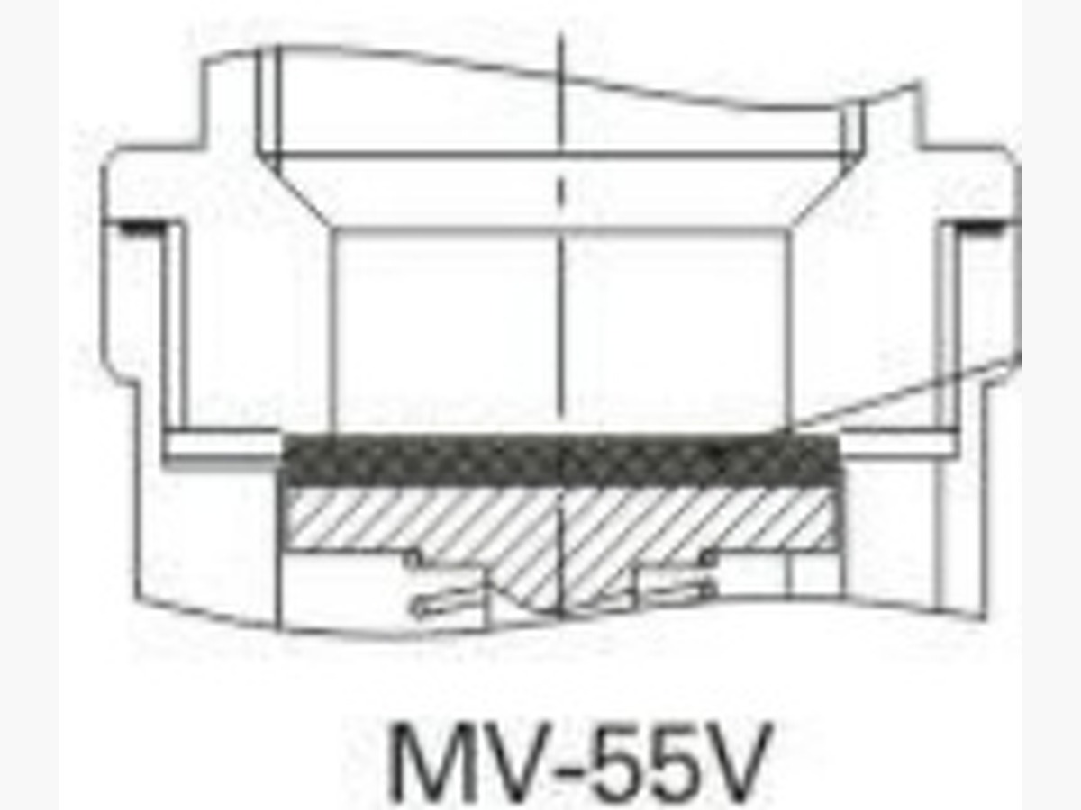 Vertical Spring Check Valve