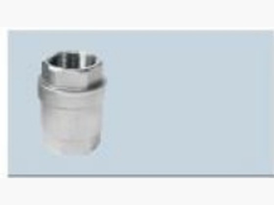 Vertical Spring Check Valve