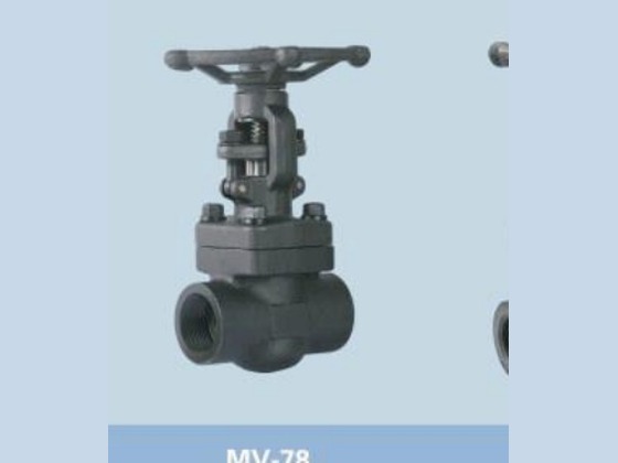 Forged Gate Valve