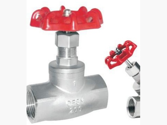 Globe Valve
