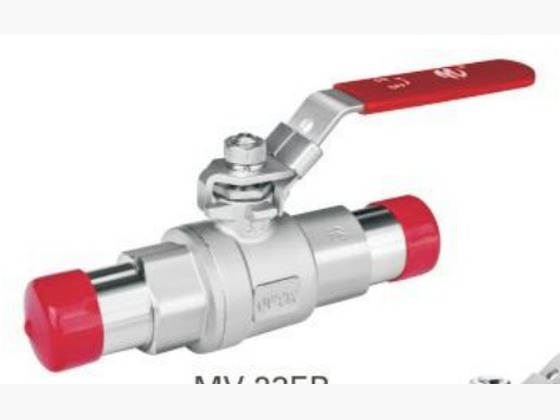 2-PC Extension Butt-Weld Ball Valve (Full Bore) - EB End