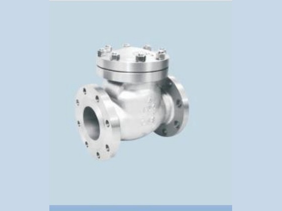 Flange Swing Check Valve
