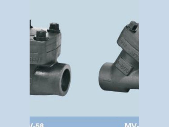 Forged Check Valve
