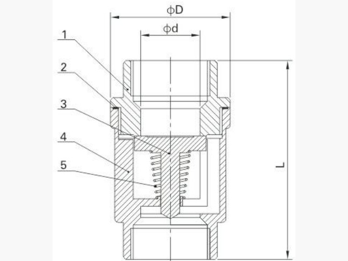 Vertical Spring Check Valve