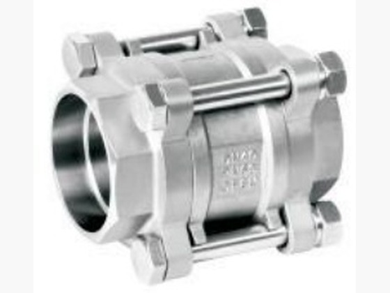 3-PC Spring Vertical Check Valve (Threaded)