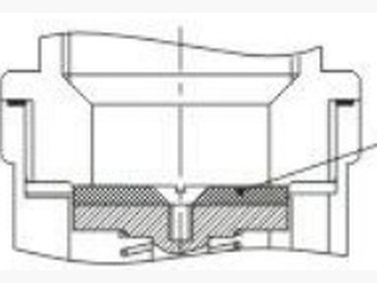 Vertical Spring Check Valve