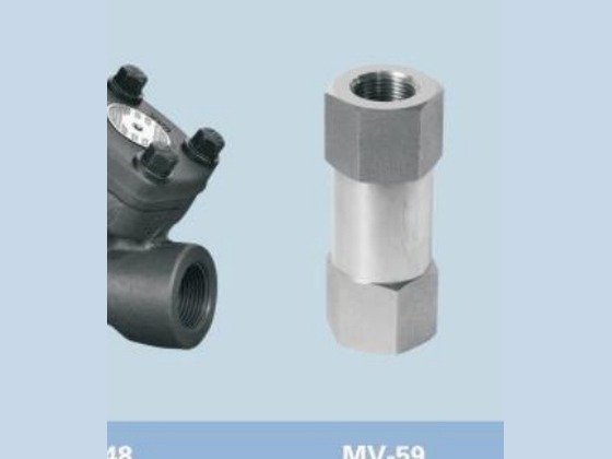 Forged Y-Strainer