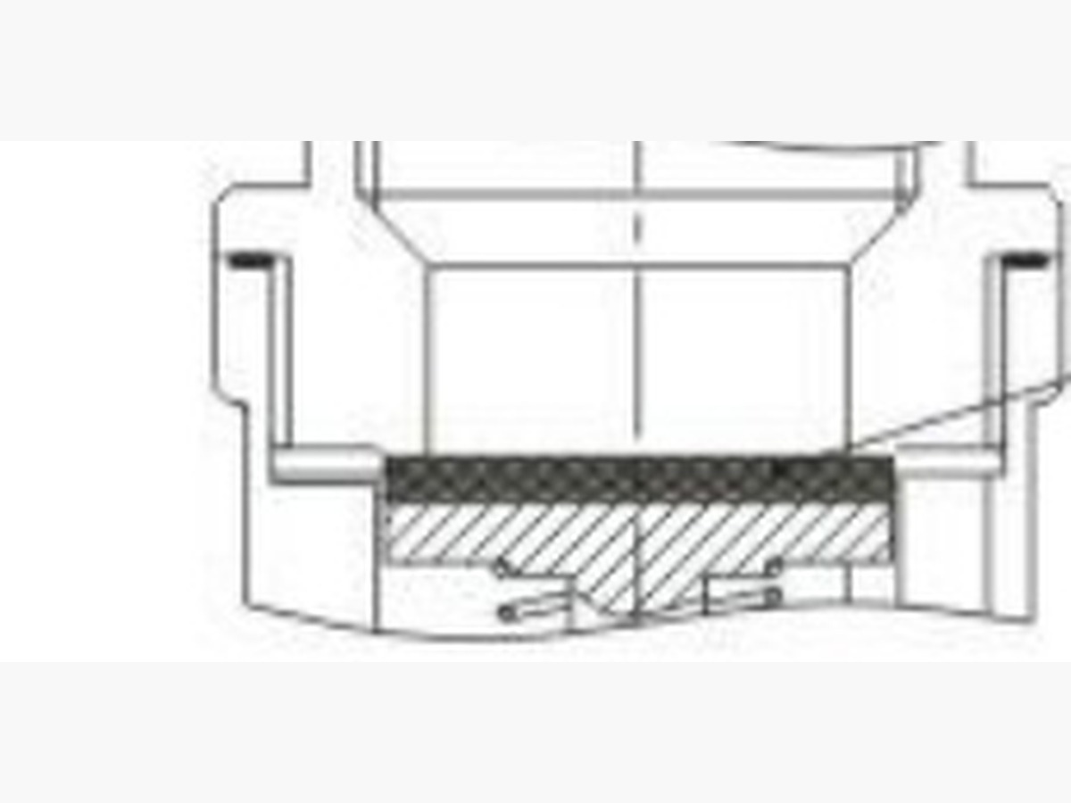 Vertical Spring Check Valve