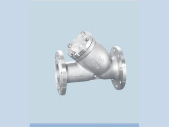 Y-Flange Strainer