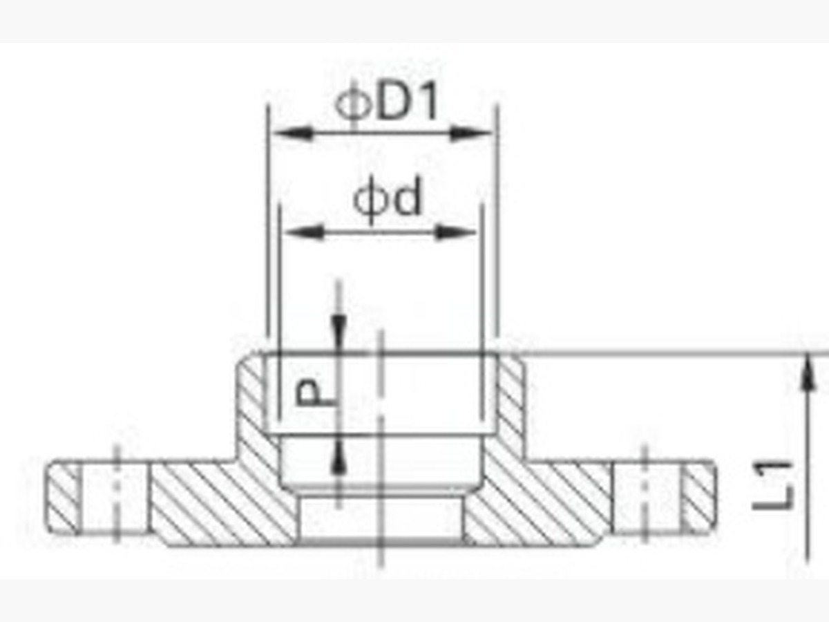 3-PC Spring Vertical Check Valve (Threaded)