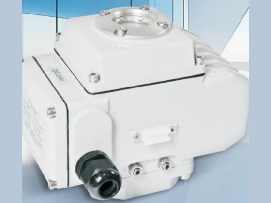 Electric Actuator
