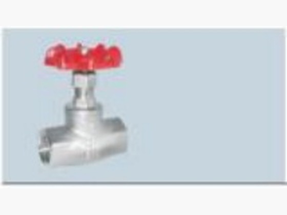 Globe Valve