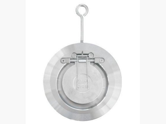 Single Disc Wafer Check Valve (Swing, Spring)