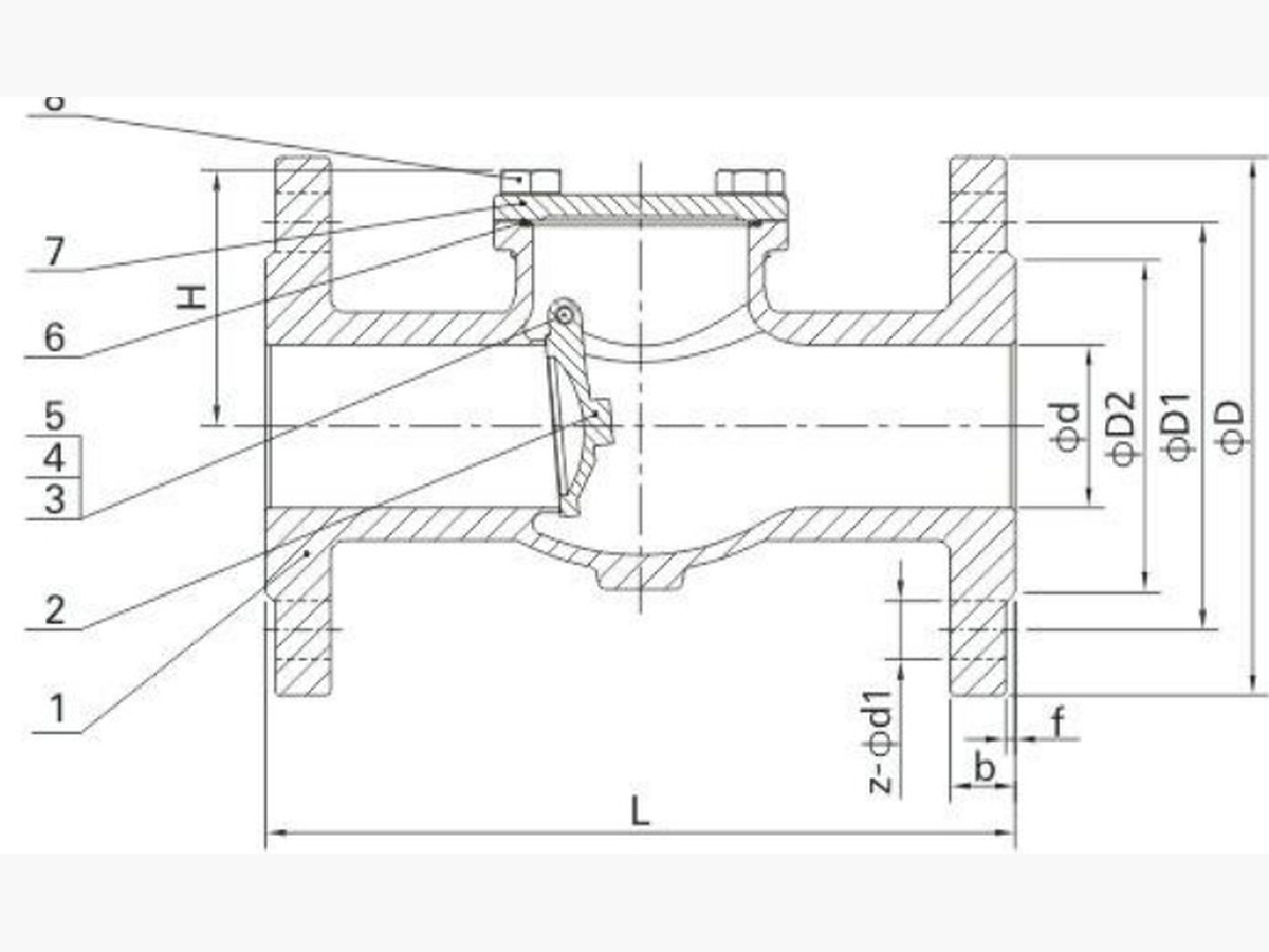 Flange Check Valve (Swing Disc)
