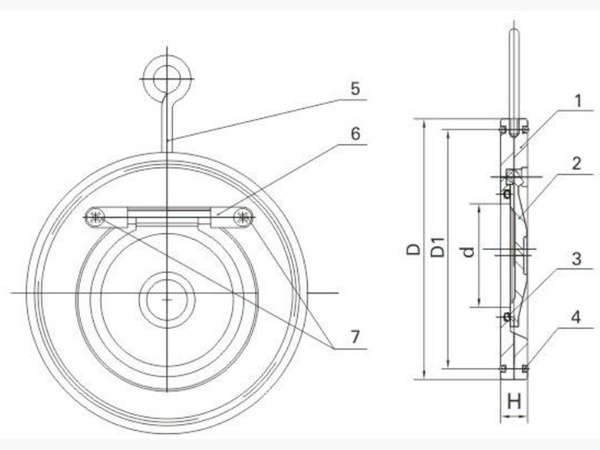 Single Disc Wafer Check Valve (Swing)