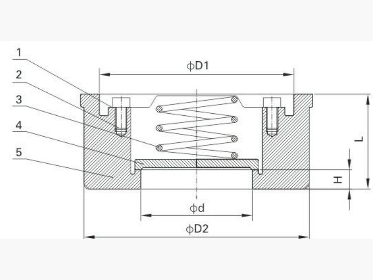 Single Disc Wafer Check Valve (DIN)