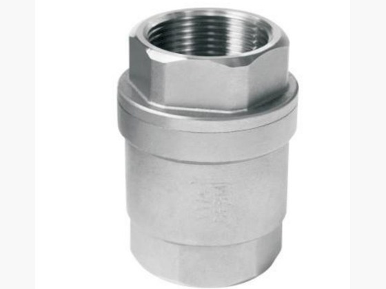 Vertical Spring Check Valve