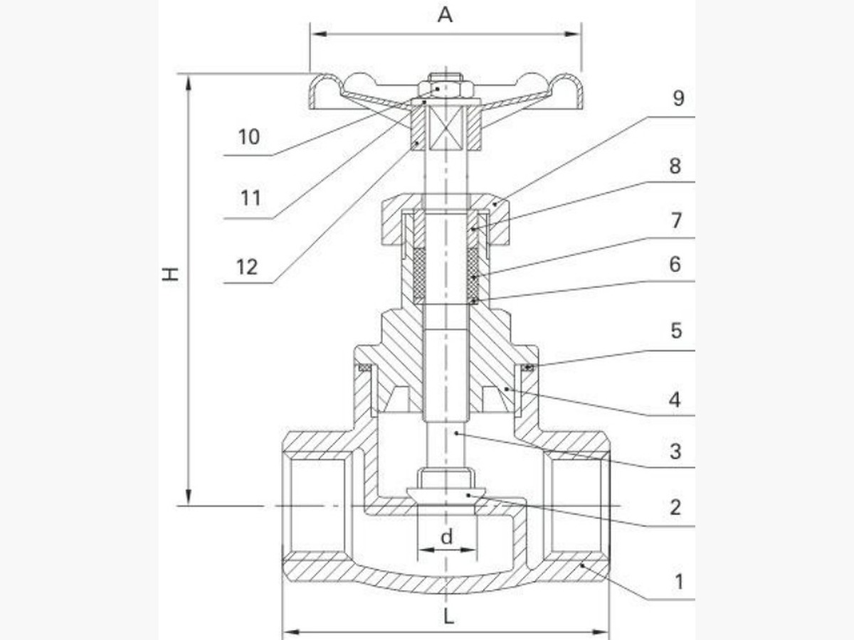Globe Valve