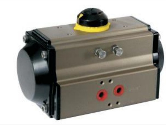 Pneumatic Actuator Double Action