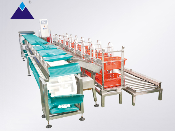 Fully Automatic Fresh Fish Feeding, Weighing and Grading Machine