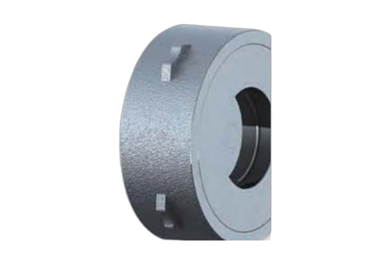 Precision Wafer Check Valve · DN65
