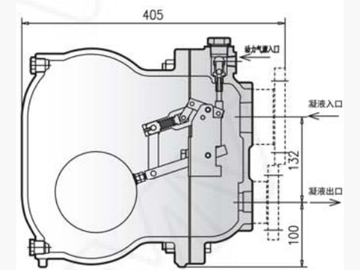 Pump Steam Trap · PT20-WCB-137-PN16-Flanged-5065
