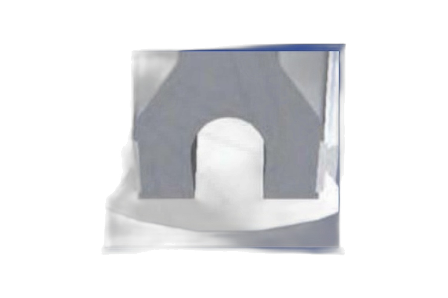 Bellows Seal Gate Valve · 100