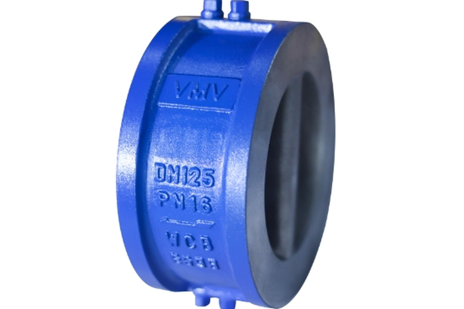Check Valve