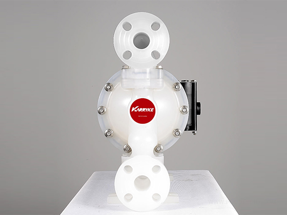 1-inch PD Diaphragm Pump---KPD25