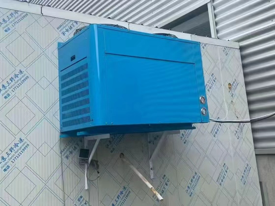 Variable Frequency Freezer 