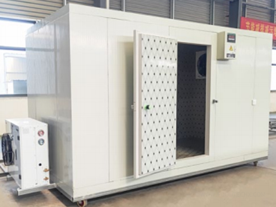 Variable Frequency Freezer 
